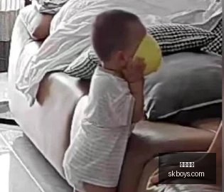 体育品牌电,竞合作,新品发布引,熊猫体育,熊猫平台,体育赛事,熊猫娱乐,体育竞猜